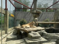 -太湖龙之梦