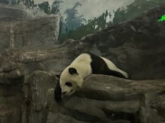 -鄂尔多斯野生动物园