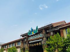 -南宫五洲植物乐园