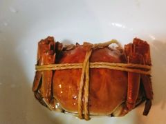 -黄记大闸蟹专卖店·活蟹·醉蟹