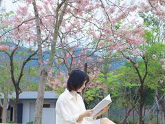 -白石龙音乐公园