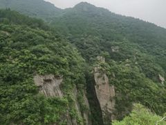 -苏家坨柳林村二月兰花海