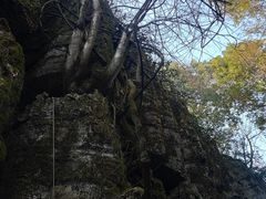 -山王坪喀斯特国家生态公园