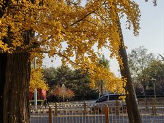 -清华大学玉泉医院