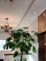 -私家美林护肤造型