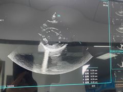 -嘉馨宠物医院·CT影像转诊·心脏科·犬猫全科诊疗中心(下沙大学城院区)