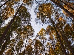 -南京金牛湖风景区