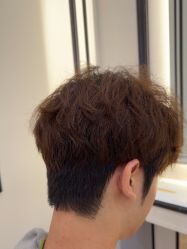 -YESIDO椰岛造型
