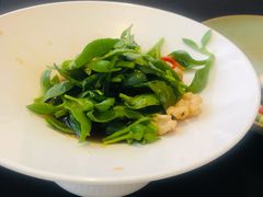 醋汁田七苗-逸道(益丰·外滩源店)