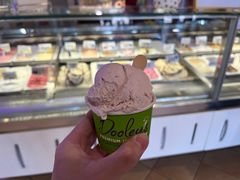 -Dooley's Premium Ice Cream