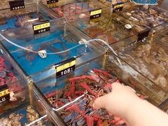 -明记海鲜大排档(巽寮湾店)