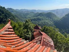 -黔灵山公园