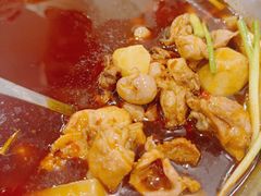 -冯记香辣兔火锅(茶店子总店)