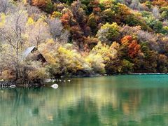 -叠溪松坪沟景区