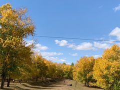 -草原天路(张北县)