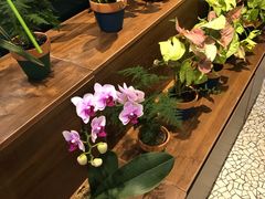 -BOBLOOM花店(宝龙旭辉广场店)