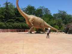 android_upload_pic-青岛方特梦幻王国