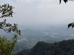 -午潮山国家森林公园