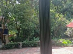 -大屏嶂森林公园