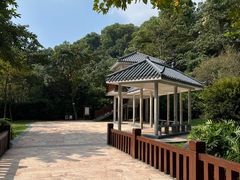 -火炉山森林公园