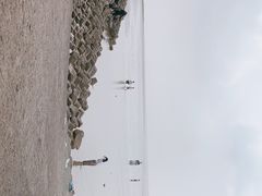 -南汇新城海滩