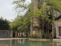 -阳朔糖舍酒店·糖舍餐厅&酒吧