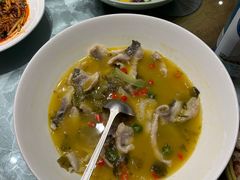 -豆花酒楼·三十八年匠心(秦皇东大街店)