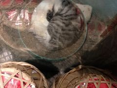 -有才叔的小馆(高新咖啡街区店)