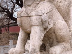 -北陵公园