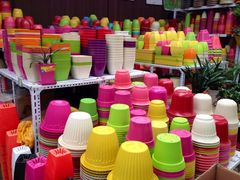 iphone_upload_pic-秦美花卉(天朗·莱茵小城2期店)