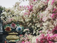 -深圳国际园林花卉博览园