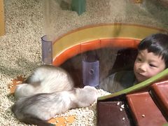 -萌宠奇缘