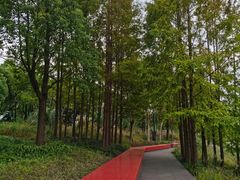 -上海山野camping·户外天幕烧烤·团建拓展营地