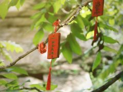 -黑龙潭风景区