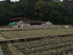 -古田会议纪念馆