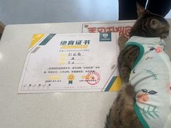 -小伙伴宠物医院•急重症转诊中心·老年专科·犬猫全科(北大街总院)