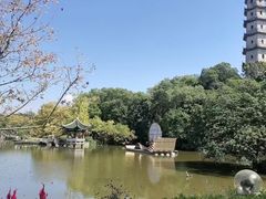 -江心屿景区