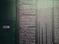 -呼和浩特博物馆