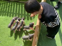 -萌宠亲子动物乐园(槐房万达店)