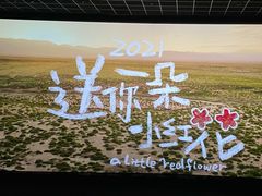 -上海颛桥万达广场