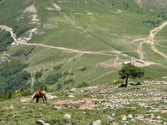 -灵山