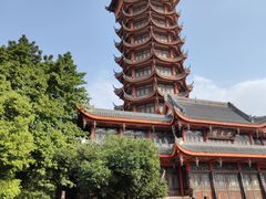 -塔子山公园
