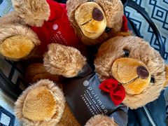 -三亚湾海居铂尔曼度假酒店