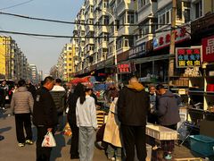 -哈尔滨道外花鸟鱼市场