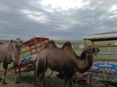 -呼和诺尔旅游景区