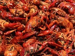 -蛙蛙叫干锅年代(簋街总店)