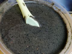 -芝麻糊世家(西华店)