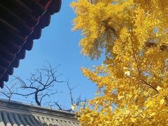 -承恩寺