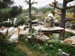 -石家庄市动物园