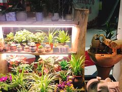-十二舍·湯物素煮(江泰潤政店)